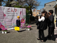 IMGP5582