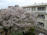 IMGP5675