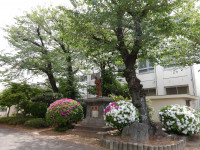 IMGP6157