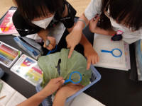 IMGP7207