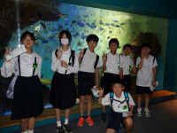 IMGP7681