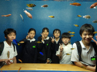IMGP0974