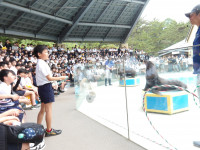 IMGP1572