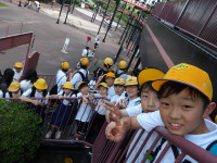 IMGP0611