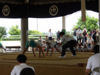 IMGP8171