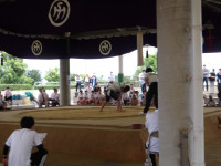 IMGP8181
