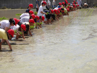IMGP8852
