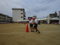 IMG_1380