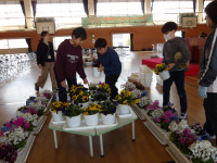 IMGP5261