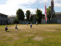 IMGP0657