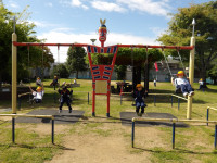 IMGP0668